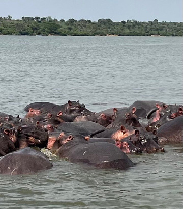 Queen Elizabeth National Park-Kasese必去景点
