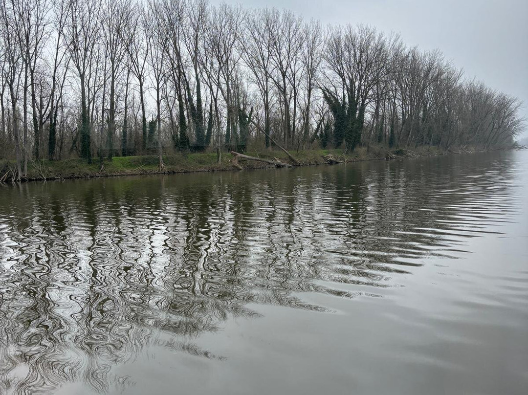 Motonavi Andes Negrini Day Tours-曼托瓦必去景点