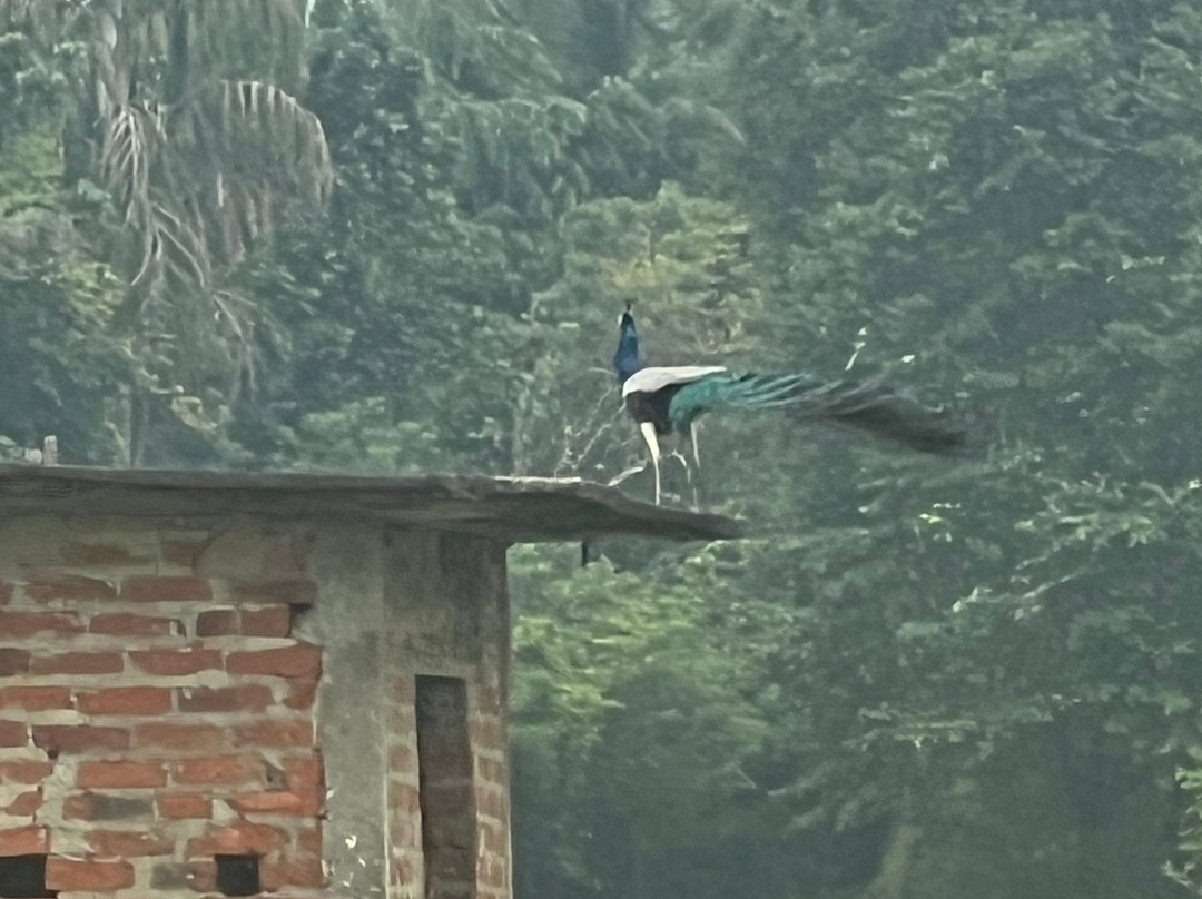 Sanka Tuk Tuk Trails Sigiriya-锡吉里亚必去景点