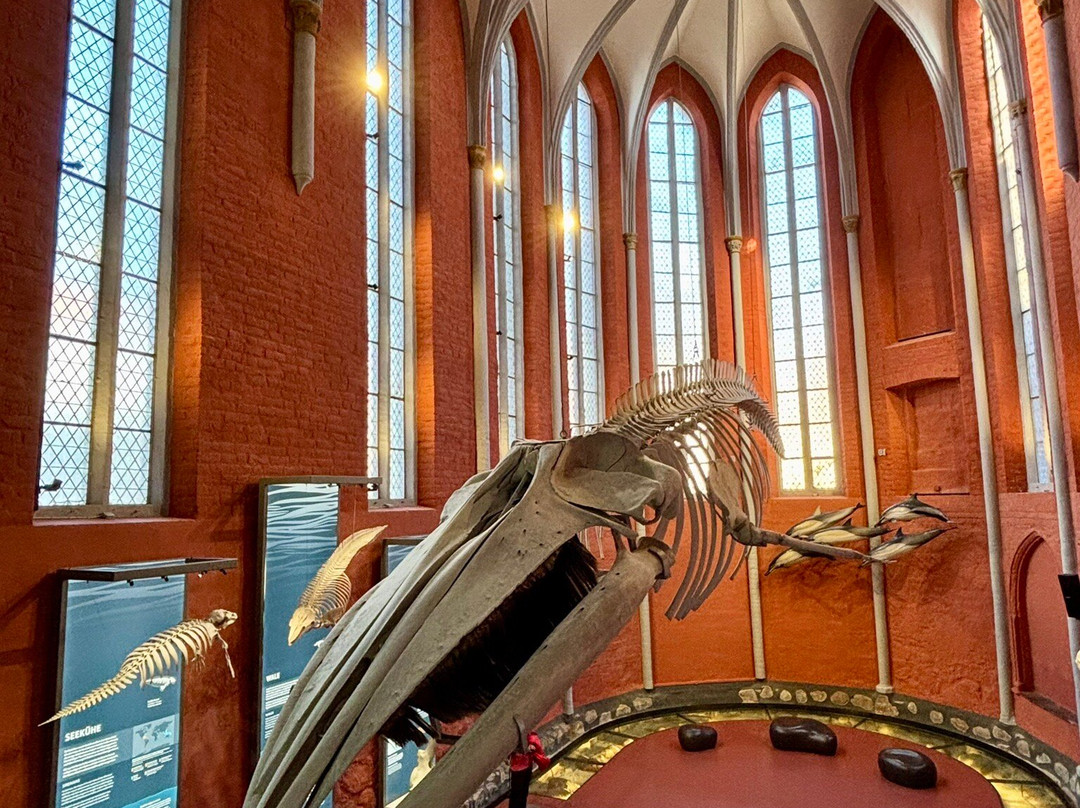 Meeresmuseum-施特拉尔松德必去景点