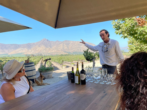 Bodega Wine Tours-圣地亚哥必去景点