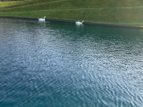 Jupiter Artland-爱丁堡必去景点