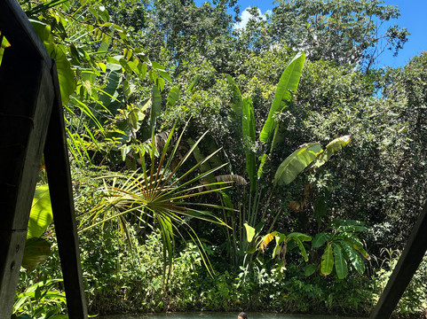 Jalapão FanTur-Palmas必去景点