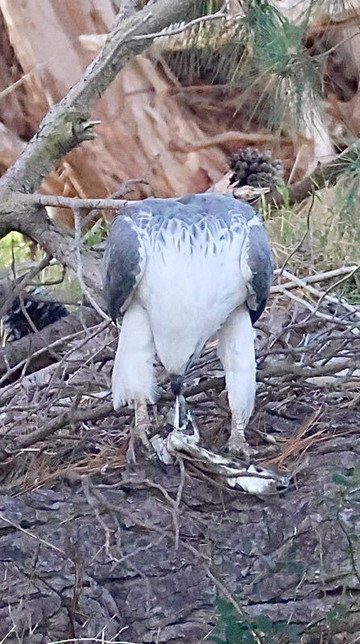 Leven River Cruises-Ulverstone必去景点