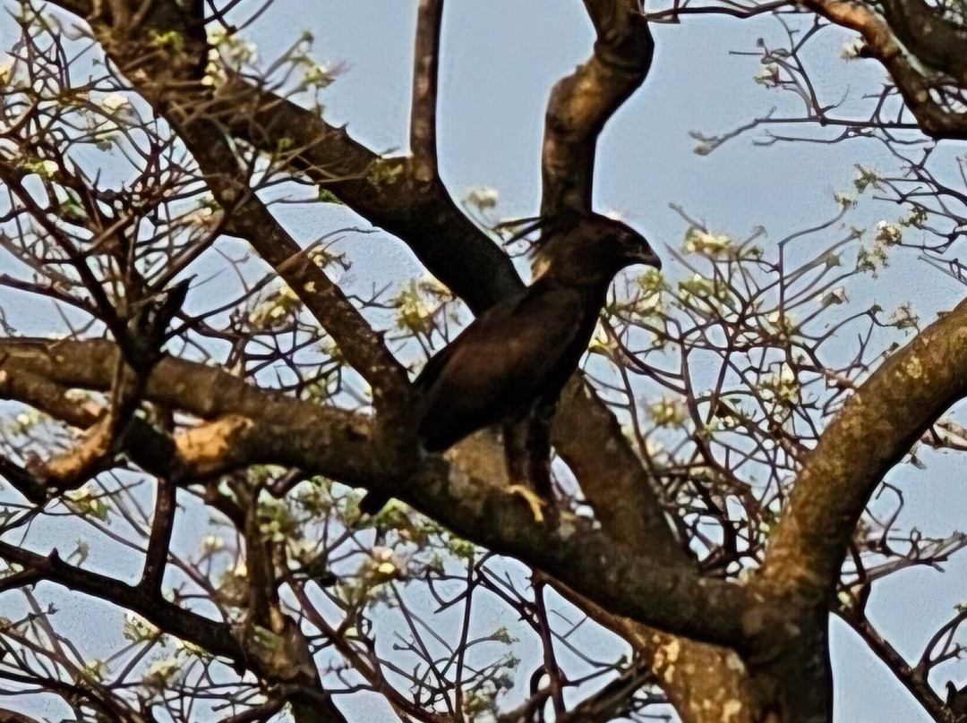 Wild Whispers Africa-马辛迪必去景点