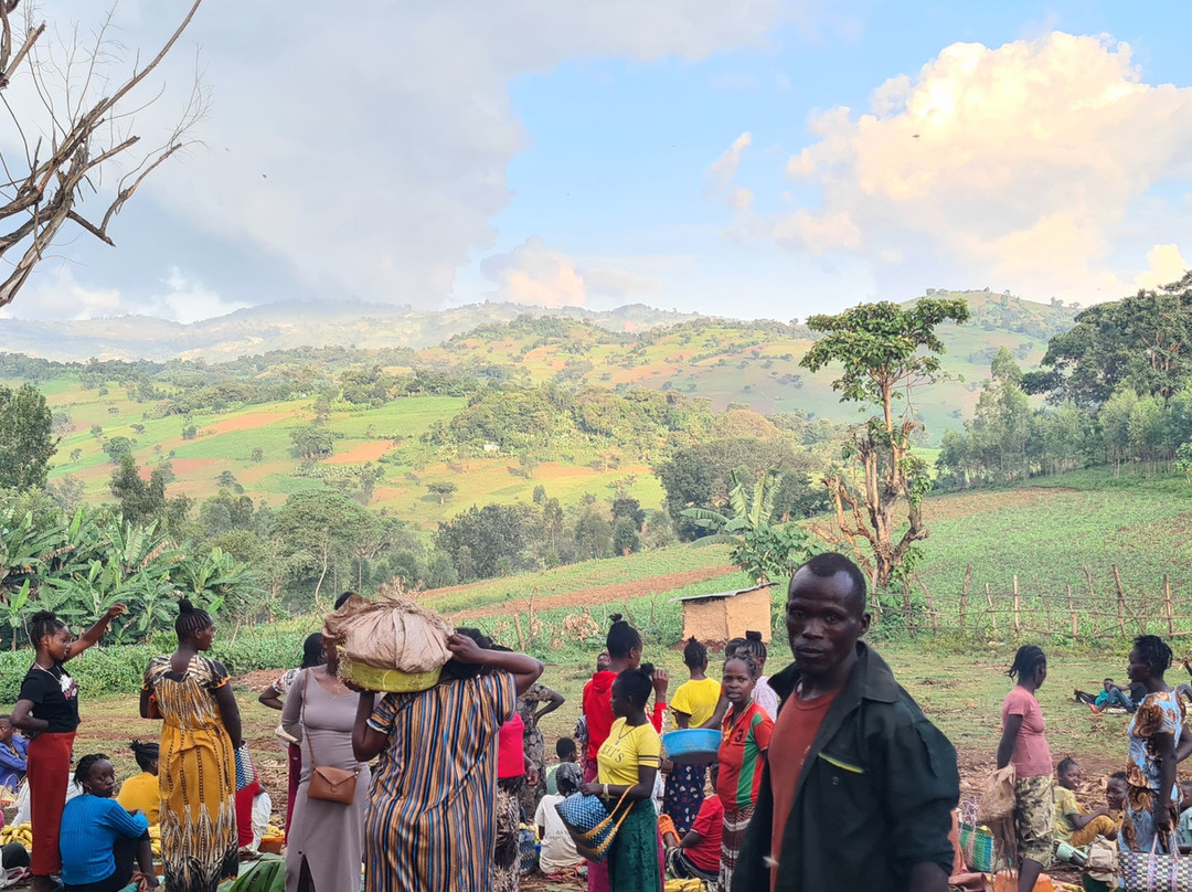 King Solomon Tours-Jinka必去景点