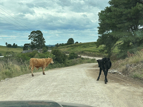 Barragam do Blang-Sao Francisco de Paula必去景点