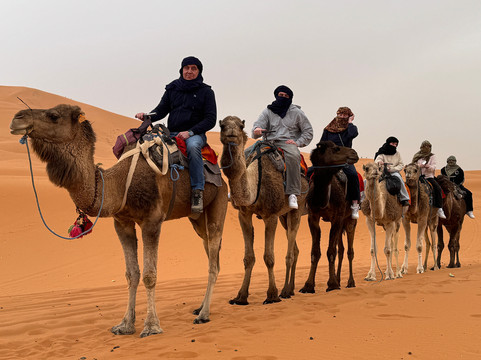 Morocco Heaven Tours-瓦尔扎扎特必去景点