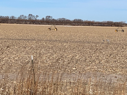 Crane Trust-Wood River必去景点