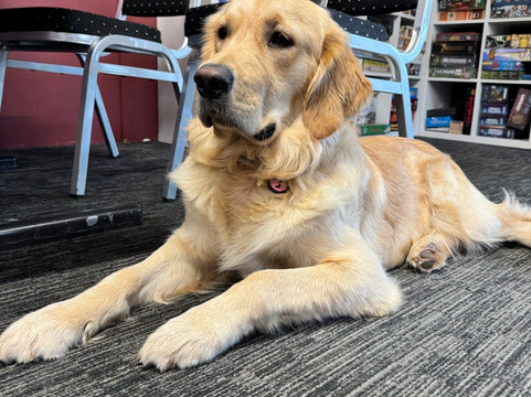 Retro Relics Games Cafe-Market Lavington必去景点