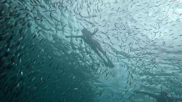Highland Adventure Tours-达拉盖地必去景点