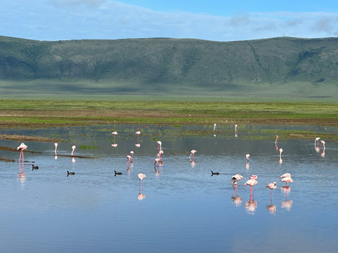 Safaris-R-Us-阿鲁沙必去景点