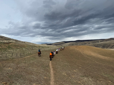 Saddleback Ranch-斯廷博特斯普林斯必去景点
