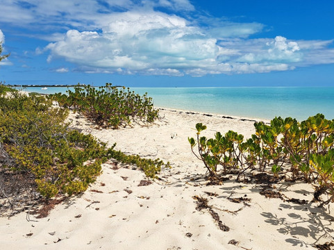 Long Bay Beach-普罗维登西亚莱斯必去景点