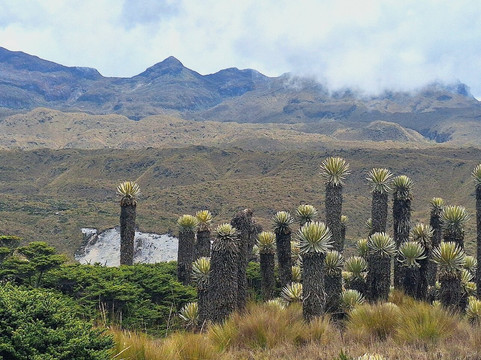 Montanas Colombianas-佩雷拉必去景点