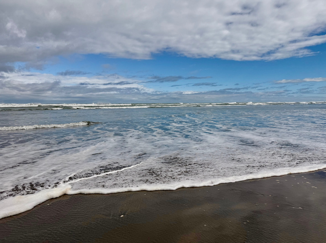 海湾别墅海滨住宿主图