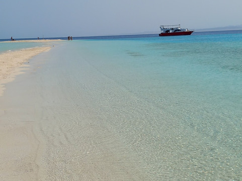 Wadi El Gemal National Park-马萨阿拉姆必去景点