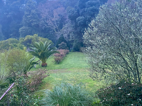 Convento de Cabanas-维亚纳堡必去景点