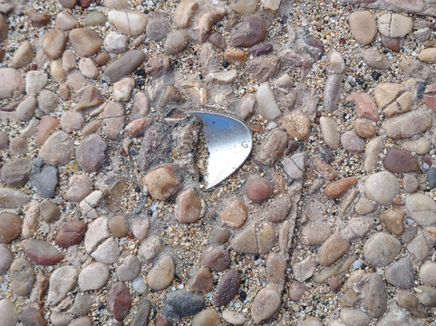 The Spoon In Concrete-布兰卡滩必去景点