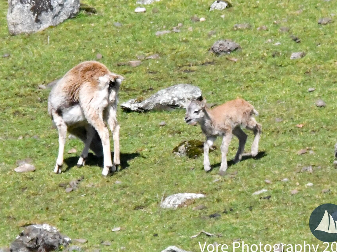 Deer Harbor Charters-Eastsound必去景点