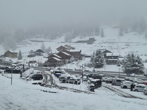 Ellex生态酒店主图