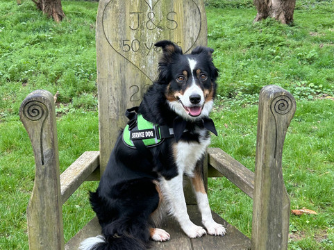 Lodmoor Country Park-韦茅斯必去景点