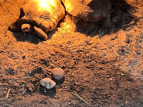 Potter's World-Lanchester必去景点