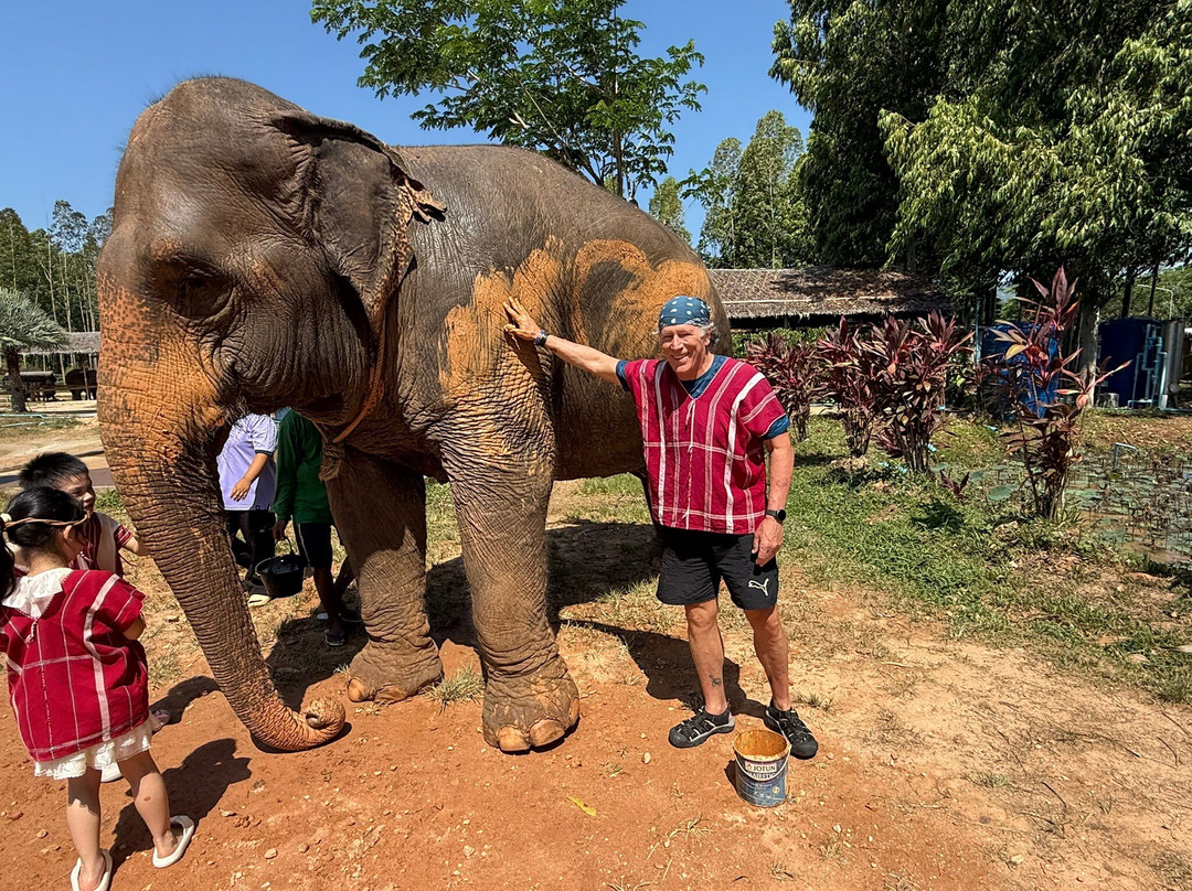 Kerchor Elephant Family Phuket-卡图必去景点