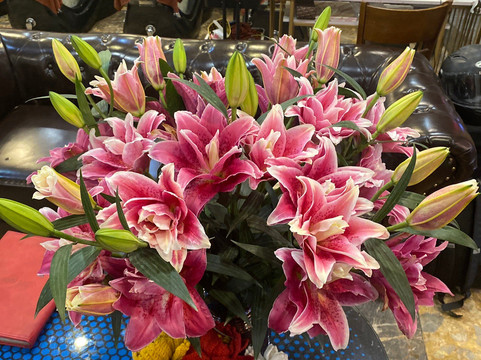 Peony Garden Spa-河内必去景点