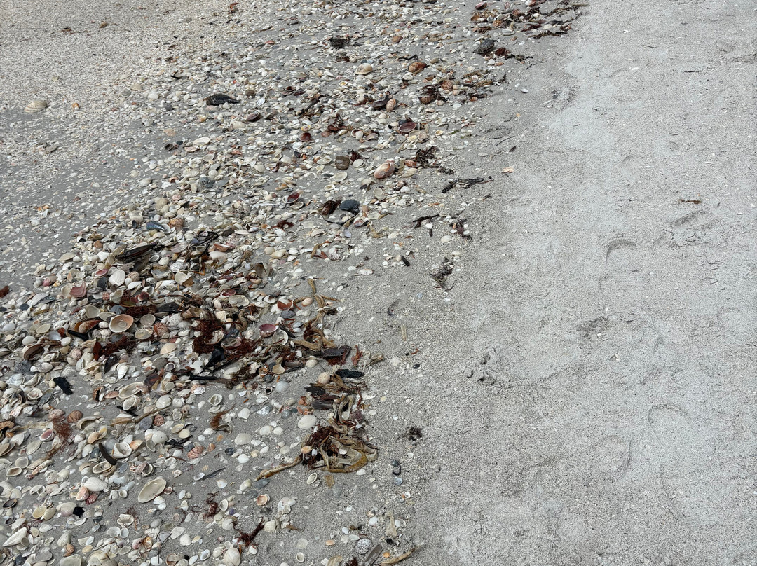 Gasparilla Island State Park-Boca Grande必去景点