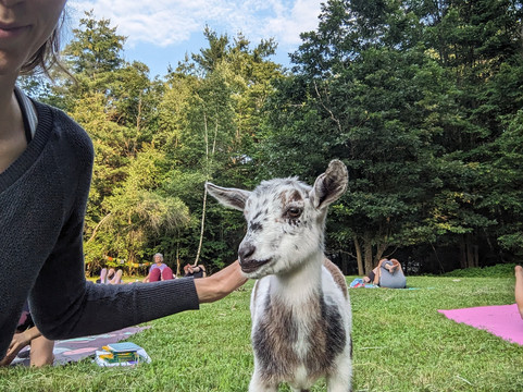Sunflower Farm Creamery-Cumberland Center必去景点