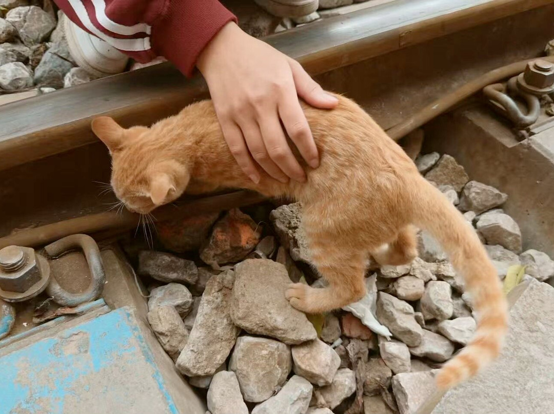 IDC Travel-河内必去景点