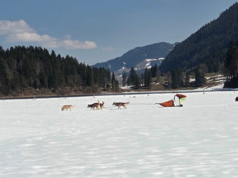 Fischer Adventures Day Tours-圣加仑必去景点