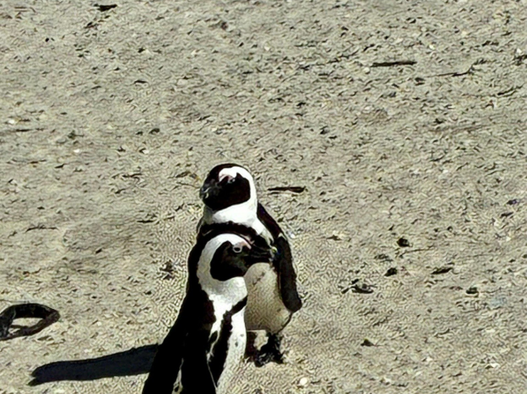 开普敦凯悦酒店主图