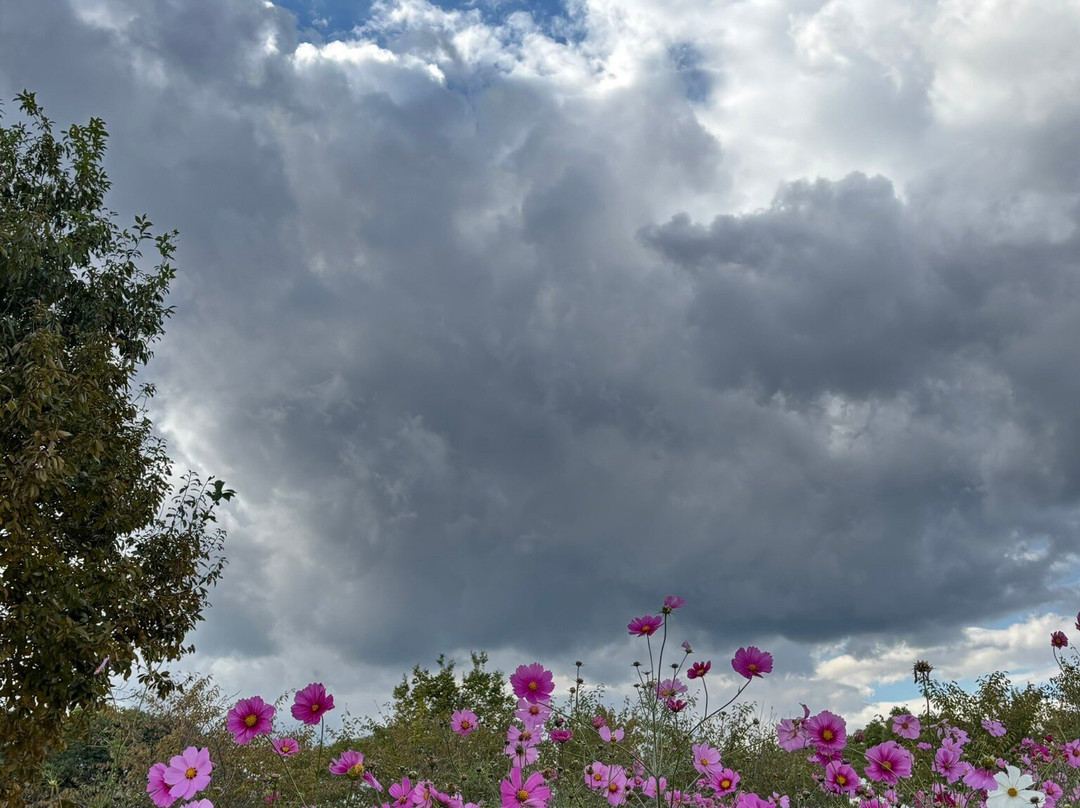 Umami-kyuryo Park-河合町必去景点