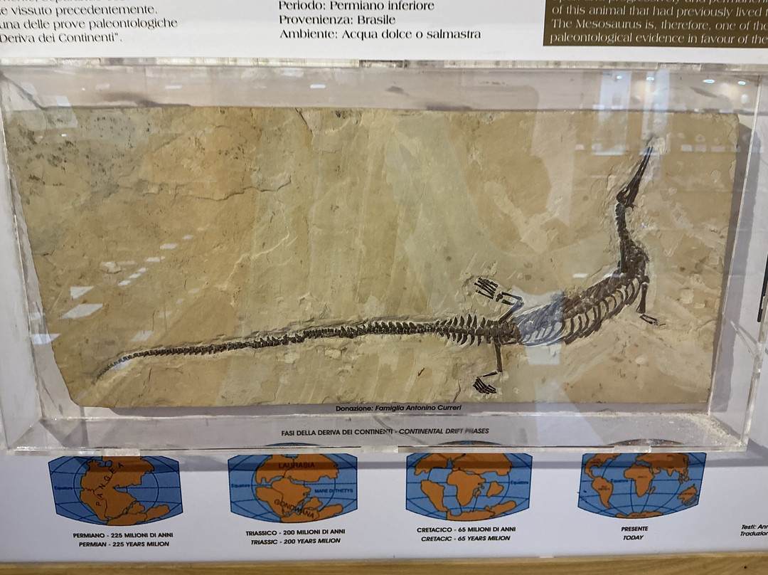 Museo Mineralogico Campano-维克艾库塞必去景点