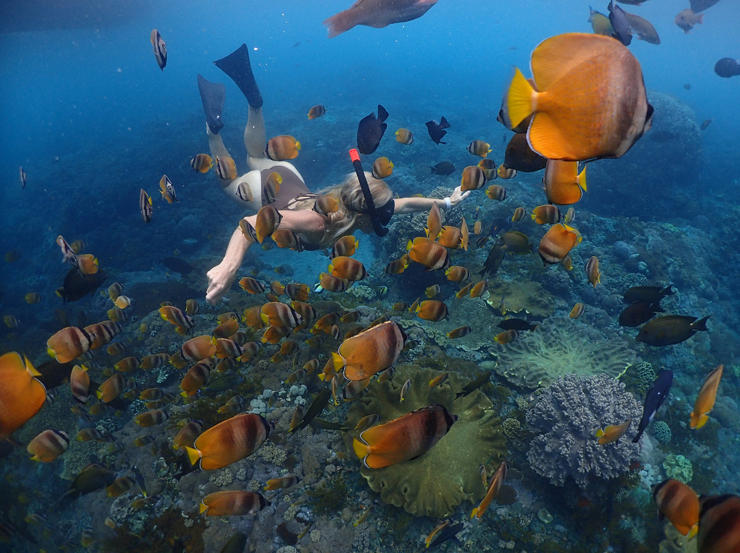 Aquaman Snorkeling Lembongan-蓝梦岛必去景点