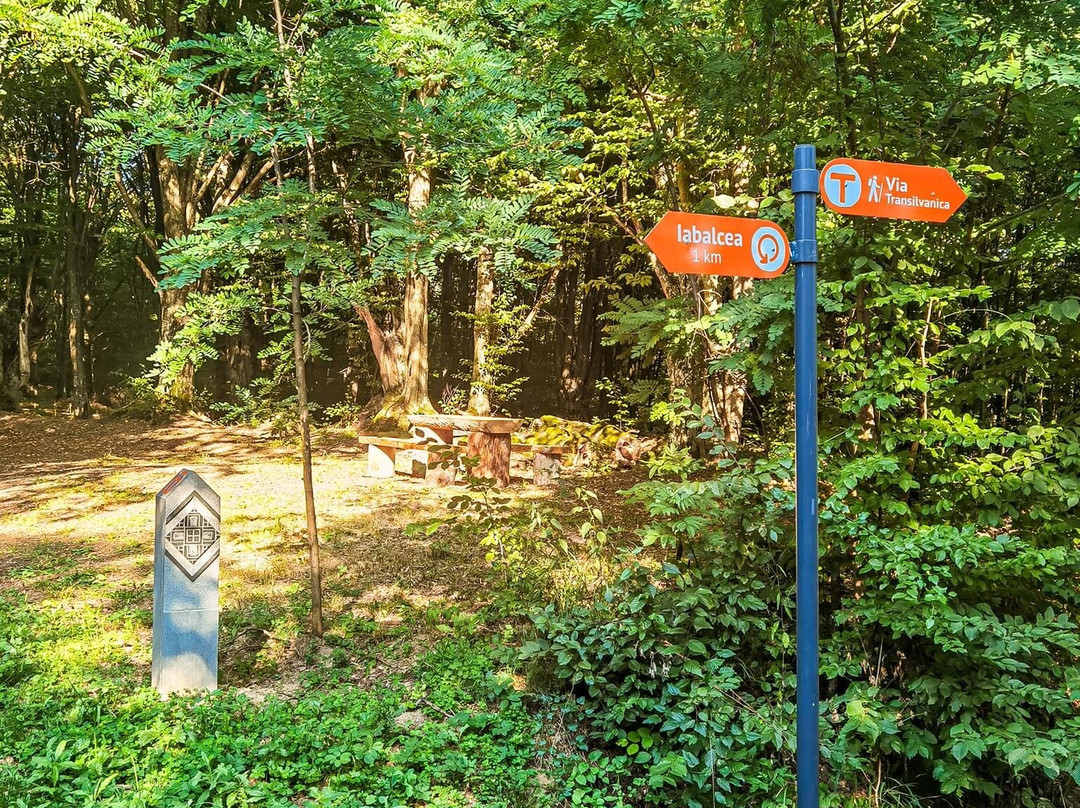 Via Transilvanica-Piatra Fantanele必去景点