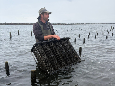 Oyster Bay Tours-科尔斯湾必去景点