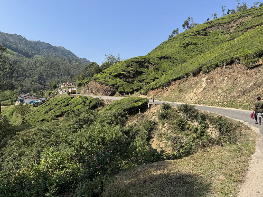 Cycling in India-新德里必去景点