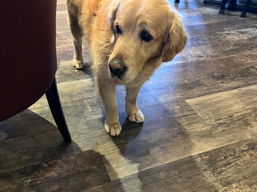 彭米尔酒店主图