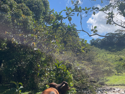 Esmeralda Ecotours San Rafael-San Rafael必去景点