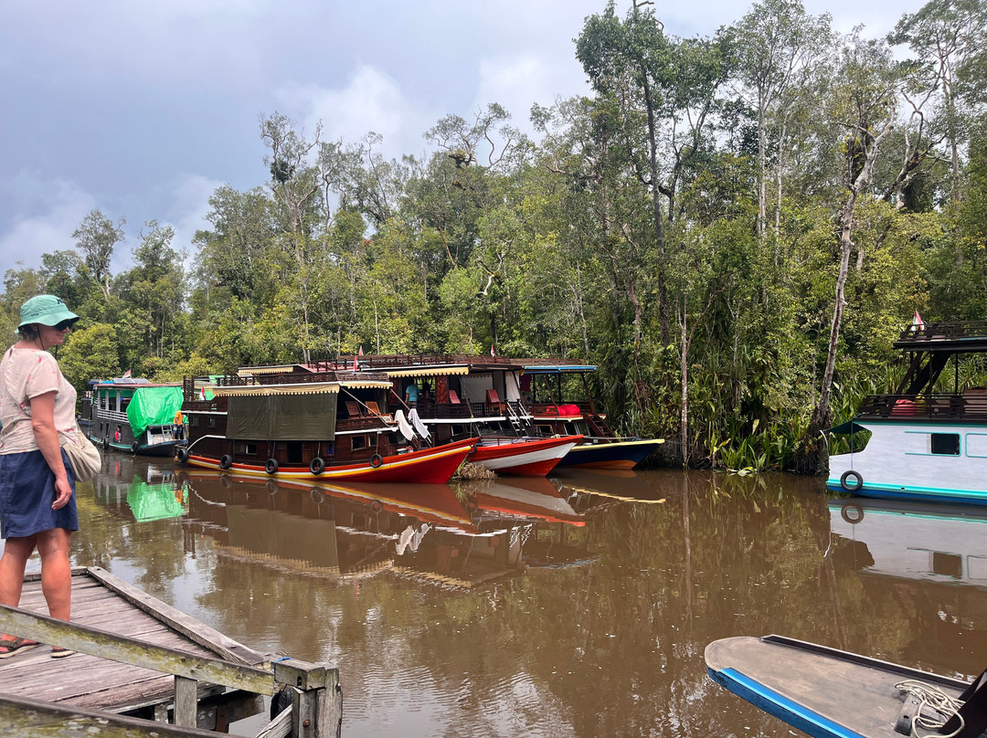 Tanjung Puting Borneo Tour-Pangkalan Bun必去景点