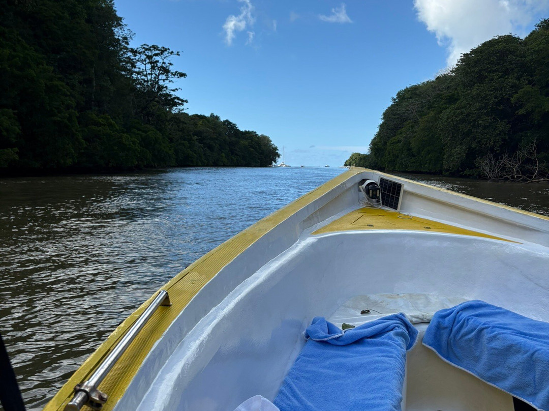 Beluga Tours-东南大河必去景点