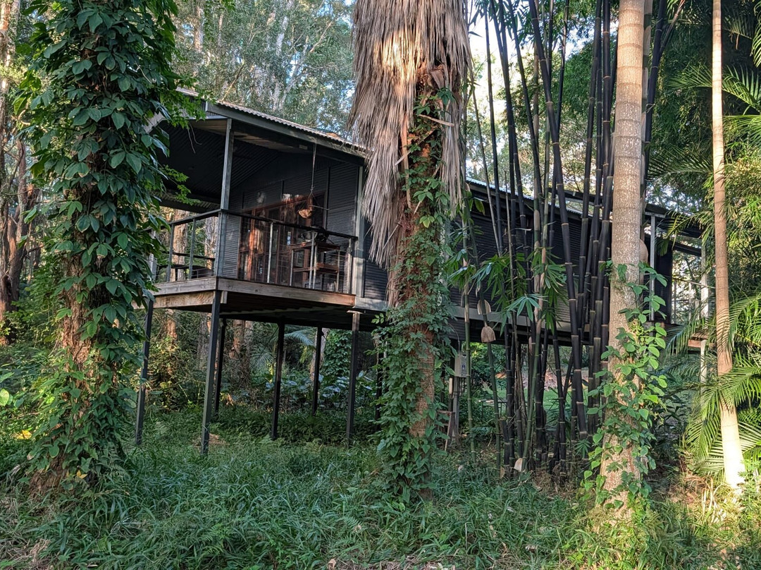 Treehouse Retreat at Diamond Waters主图