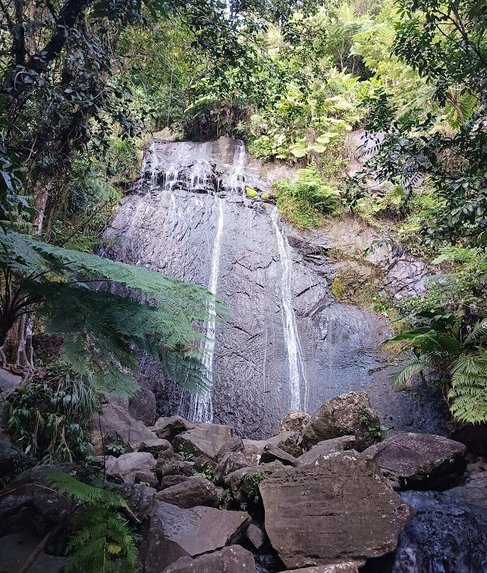 Catarata La Coca-云盖国家森林公园必去景点