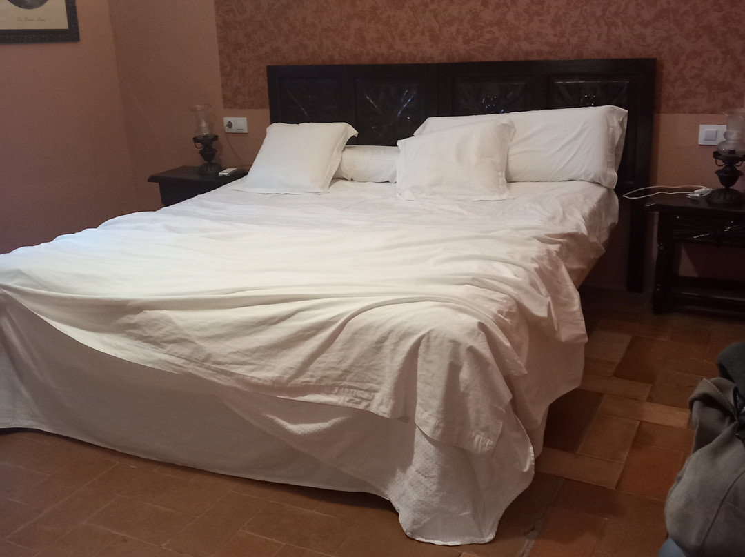 撒提斯卡尔庄园酒店主图