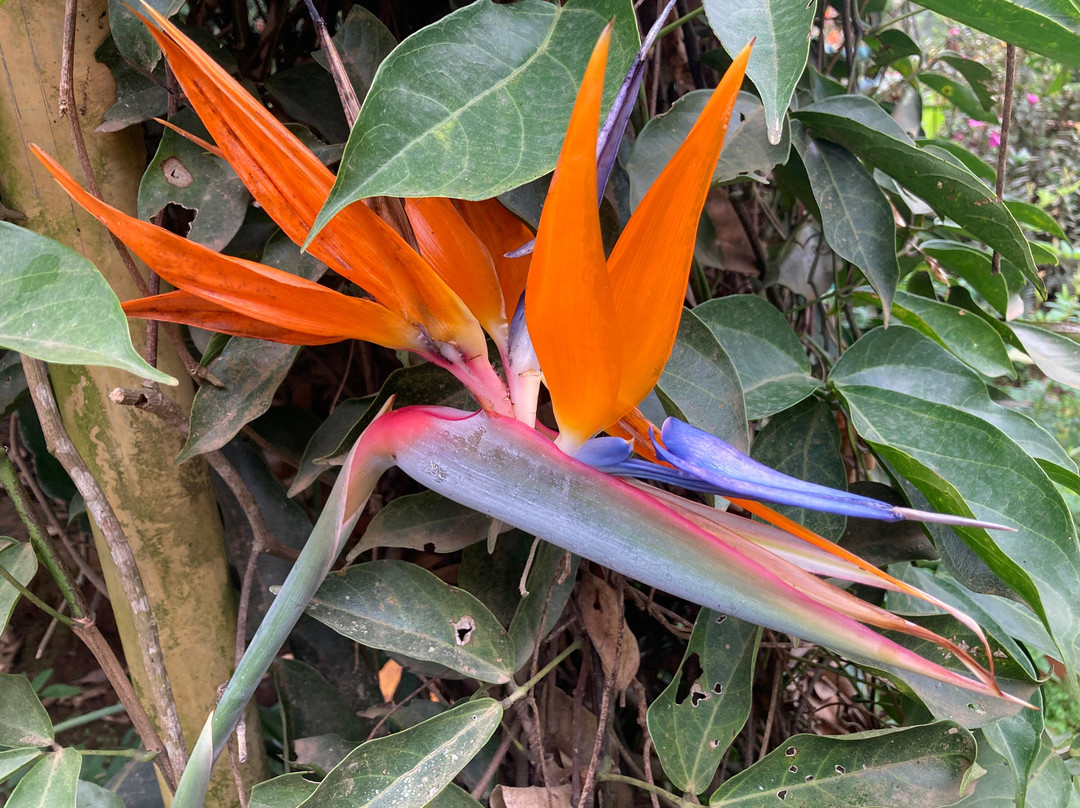 Rose Gardens Tours and Travels-慕那尔必去景点