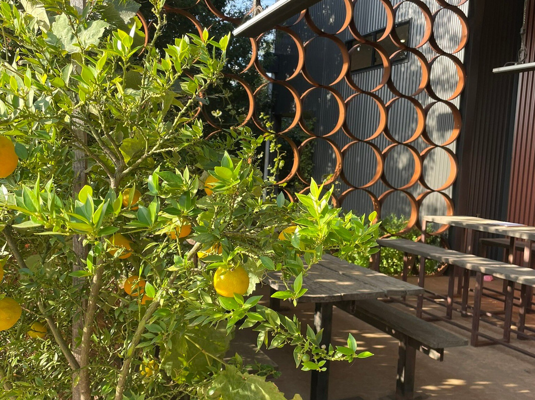 Passing Clouds Winery-戴尔斯福特必去景点