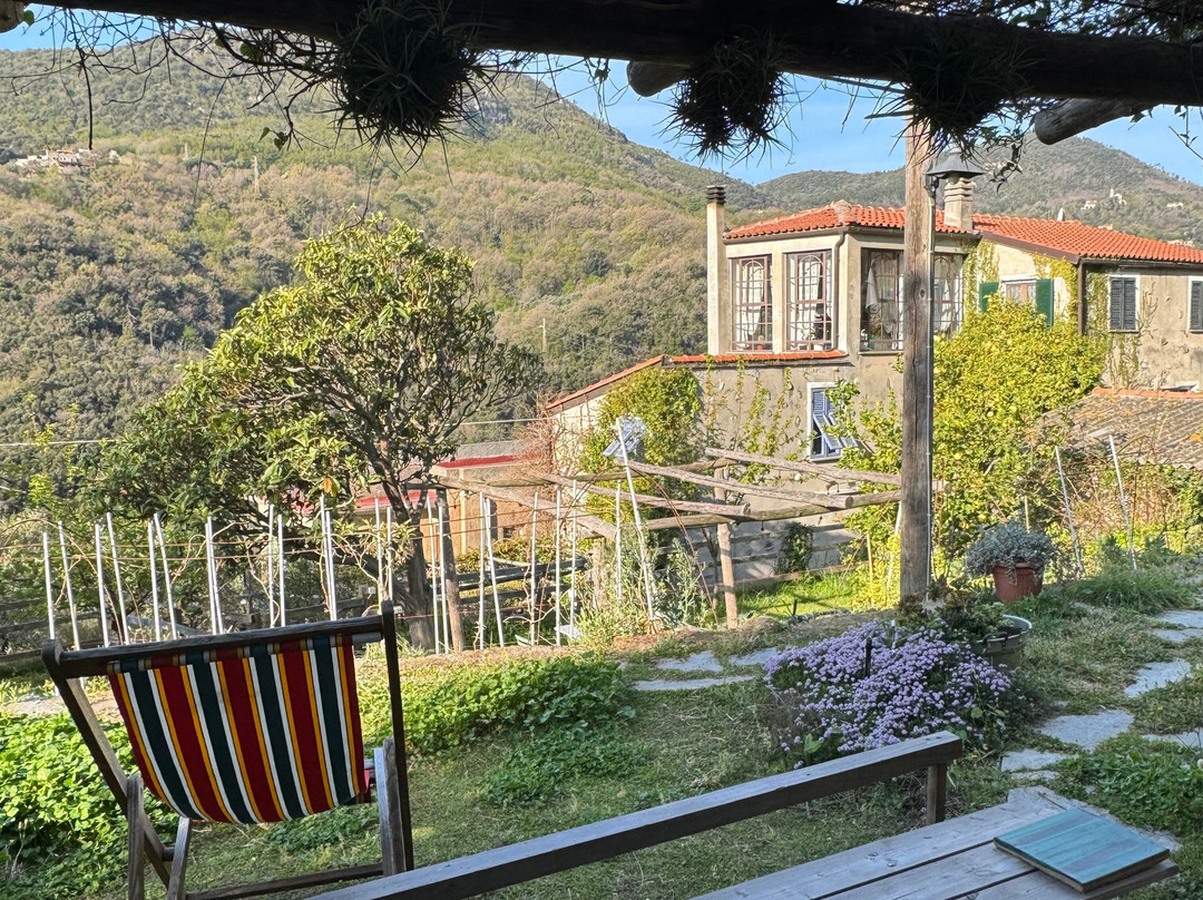 Bed And Breakfast Cà De Badin主图